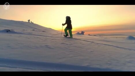 Explore the Magic of Lapland: Northern Lights, Huskies & Winter Wonderland Adventure!