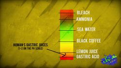 Acid, Poop, and Barf: Vultures' Secret Weapons Instructional Video