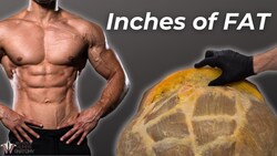 How Your Body Really Burns Fat: Can We Control It? Instructional Video