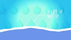 Five Facts - Water Waste Instructional Video