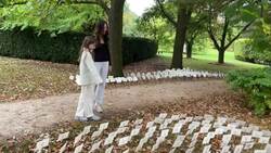 Exhibit at U of G Arboretum celebrates relationship between oak trees and insects News Clip