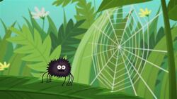 The Spider Instructional Video