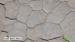 The Link Between Zebra Stripes and Sand Dunes | Natural Patterns Instructional Video