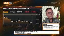INA's CEO on Foreign Investment Outlook News Clip