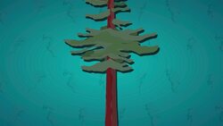 I WONDER - How Does The Redwood Tree Get Enough Water? Instructional Video