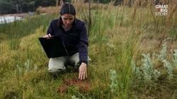 How Quokka Selfies Helped Protect This Adorable Animal Instructional Video