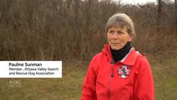 These search and rescue dogs are aiding in searches at residential schools News Clip