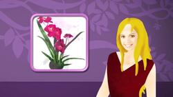 How to Buy Flowers for Your Girlfriend Instructional Video