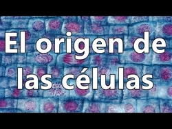 10 de febrero: la teoría celular Instructional Video