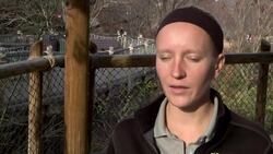 Cincinnati Zoo welcomes new baby giraffe Instructional Video