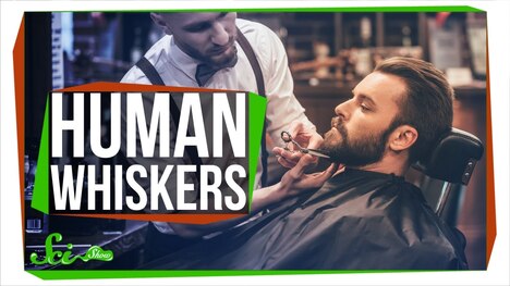 Why Don’t Humans Have Whiskers?