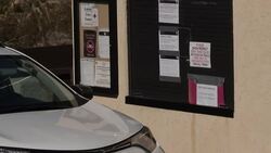 General shots of Joshua Tree National Park News Clip