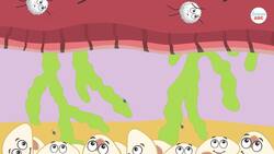 Lymphatic System Explained In Simple Words Instructional Video