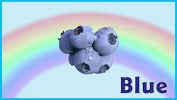 The Blue Song Instructional Video