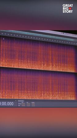 Echoes of change, Tracking soundscapes in a warming world Instructional Video