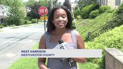 DA spokesperson says it will no longer investigate incident where bear was euthanized in West Harrison News Clip