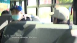 Workers from Mexico support Newfoundland seafood plant News Clip