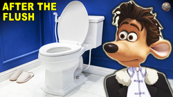 All The Weird Things That Happen After You Flush The Toilet Instructional Video