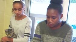 A Pennsylvania Animal Shelter Offers Unique Reading Program Instructional Video