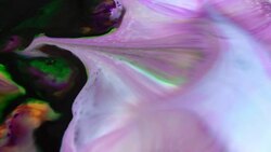 Abstract Colorful Mixing Oil And Paint Blasting Background Texture Stock Footage