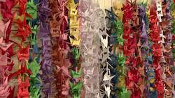 1,000 paper cranes News Clip