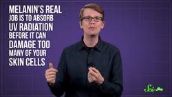 Sunburns, Sunbeams, and Sunspots: A Summer Compilation Instructional Video