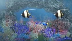 Underwater loudspeakers could help boost coral reef recovery Instructional Video