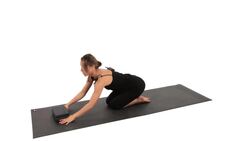 How to Do a Dolphin Dog Yoga Pose Instructional Video