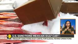US Says Drug Cartel Behind Longstanding Problem Of Illegal Fishing In Gulf Of Mexico | World News News Clip
