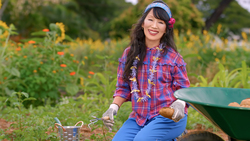 Healthy Vegetarian - Happy Environment Instructional Video