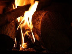 Cuidando la salud de la tierra: sostenibilidad Instructional Video