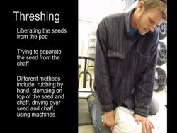 USDA Seed Saving Instructional Video