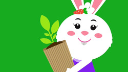 Ria planta un árbol joven Instructional Video