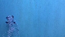 stressfree word carved in a blue wall Stock Footage