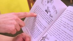 Principles of Good Reading Lessons Instructional Video