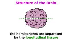 The Central Nervous Sytem: The Brain and Spinal Cord Instructional Video