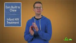 This Ancient Mammal's Ears Were Built for Chewing Instructional Video