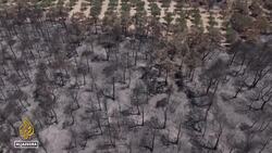 Turkiye’s wildfires force evacuations as emergency crews battle blazes in Hatay and Izmir News Clip