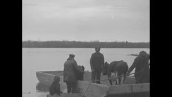 Heavy flooding in Maine has people and their animals in search of higher and drier ground News Clip