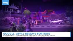 Google, Apple Remove Fortnite From Their App Stores News Clip