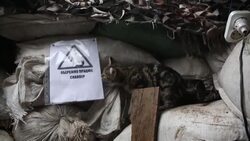 CLEAN : For Ukrainian frontline soldiers, all hopes for NATO News Clip