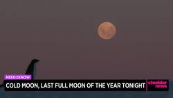 Cold Moon, Last Full Moon of the Year Tonight News Clip