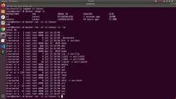 Docker - A Complete Hands-On Guide - ENTRYPOINT Versus CMD Instructional Video
