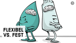 Fluide & Kristallisierte Intelligenz Instructional Video