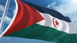 Flag of Western Sahara | Loopable Stock Footage
