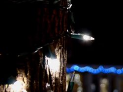 What Is Light?: What Is Light? Instructional Video