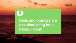 How to Feng Shui Your Dorm Room Instructional Video