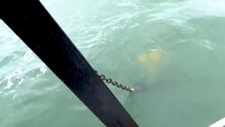 CLEAN : Finland begins fishing plastic ghost nets out of the Baltic News Clip