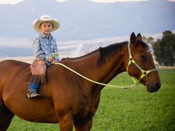 The Power of Hope: Lessons from Dante the Dragonfly Instructional Video