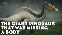 The Giant Dinosaur That Was Missing a Body Instructional Video